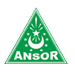 Logo GP Ansor Kabupaten Wonosobo